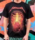 Metallica - Thrashed Through